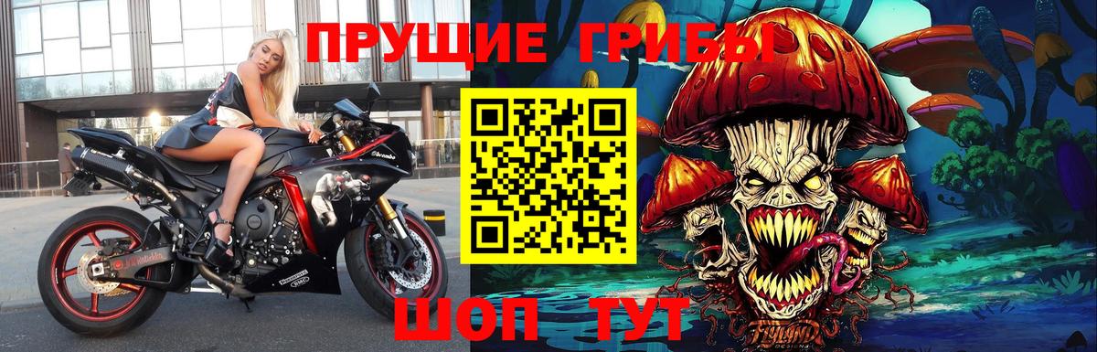 Галлюциногенные грибы Magic Shrooms  Вход с VPN  Галлюциногенные грибы Cubensis  наркота  Минусинск 