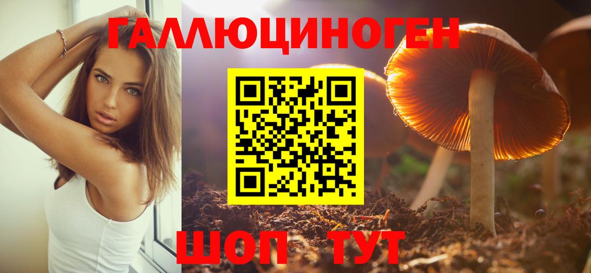 Галлюциногенные грибы Psilocybine cubensis Минусинск